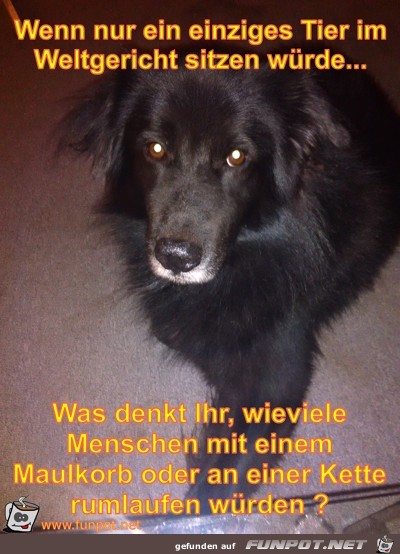 Wenn nur ein einziges Tier im Weltgericht sitzen würde Wenn nur ein einziges Tier im Weltgericht sitzen würde