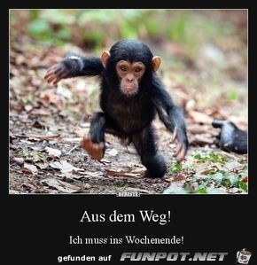 Weg da Weg da