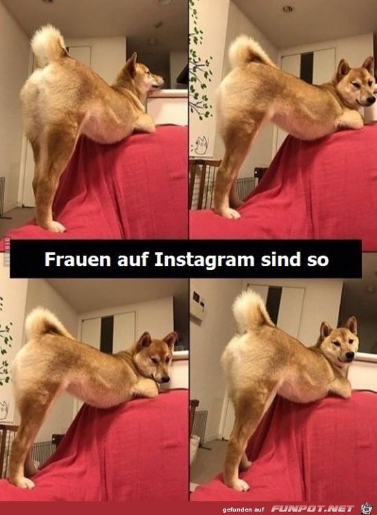 Frauen