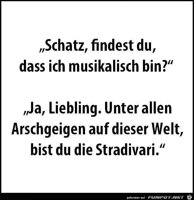 arschgeigen arschgeigen