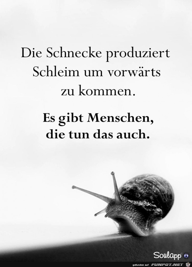 die Schnecke produziert