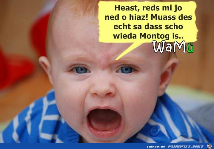 heast heast