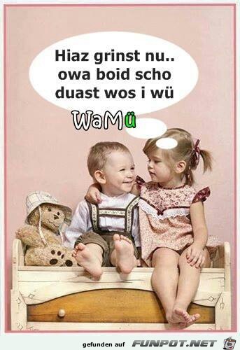 hiaz grinst nu hiaz grinst nu