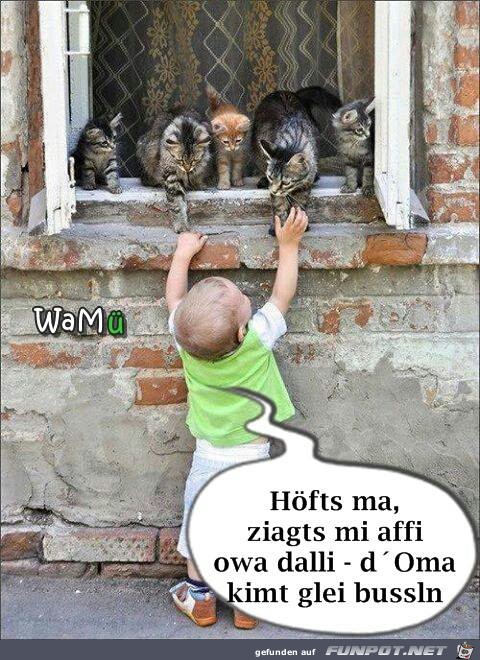 hoefts ma hoefts ma