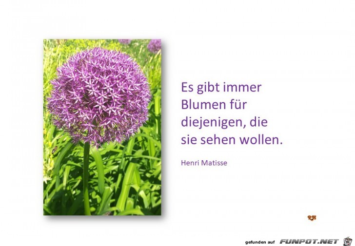 es gibt immer Blumen