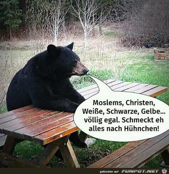 Schmeckt alles gleich Schmeckt alles gleich