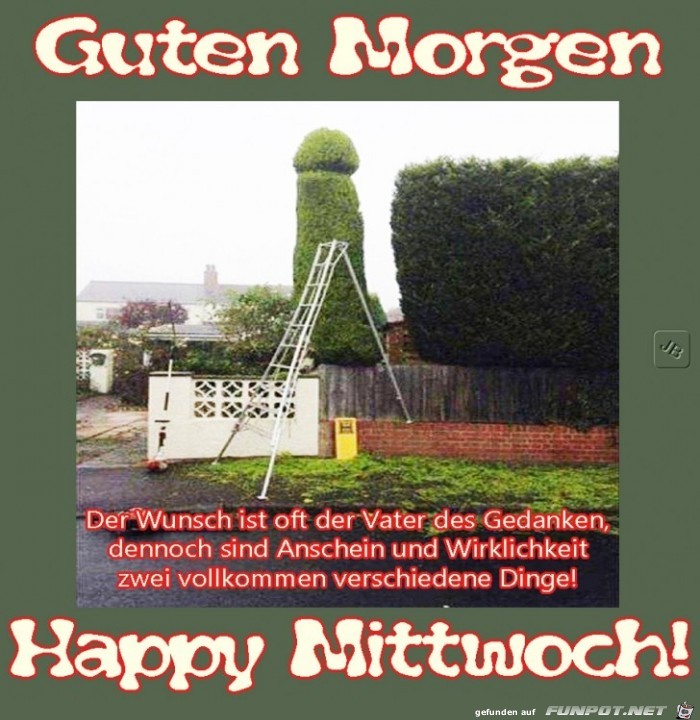 Mittwoch Mittwoch