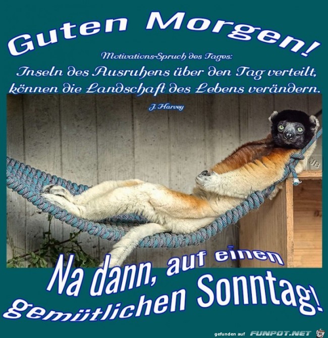 Sonntag Sonntag