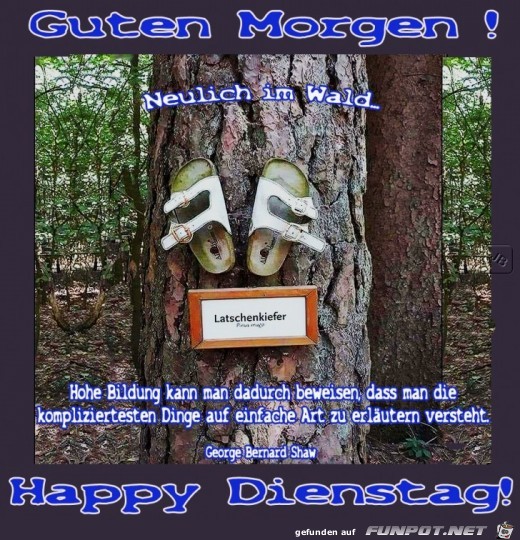 Dienstag Dienstag