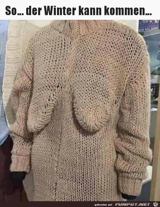 Hübscher Winterpulli Hübscher Winterpulli