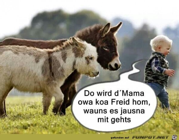 mitgehts mitgehts