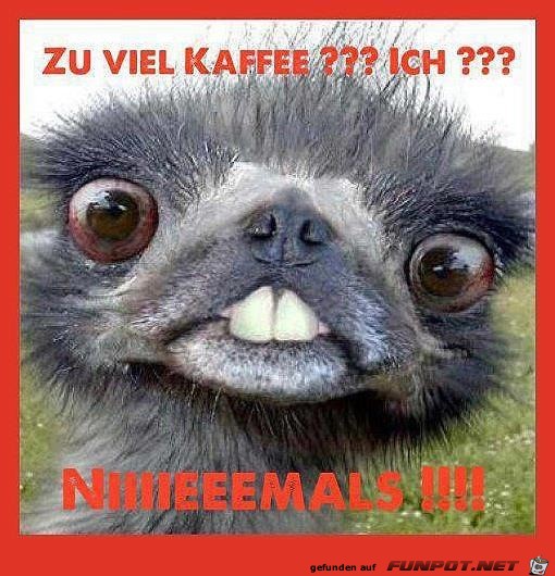 Zu viel Kaffee Zu viel Kaffee