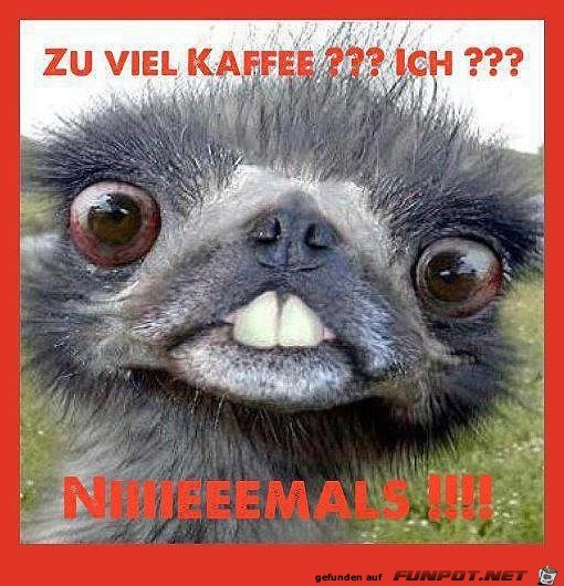 Zu viel Kaffee