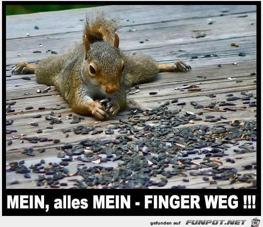 Alles meins Alles meins