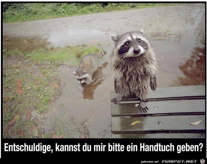 Ein Handtuch bitte