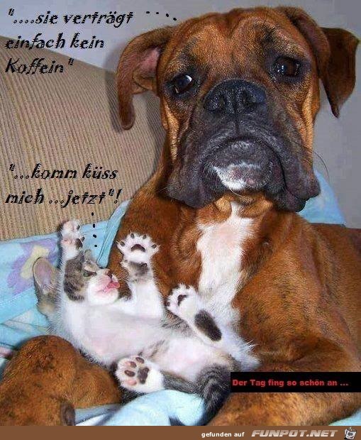 Sie verträgt keinen Kaffee Sie verträgt keinen Kaffee