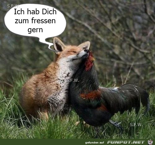 Ich hab Dich Ich hab Dich