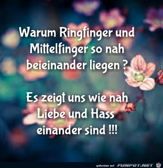 Rngfinger und Mittelfinger......