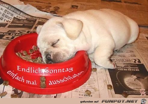 Endlich ausschlafen Endlich ausschlafen
