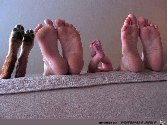 alle im Bett alle im Bett