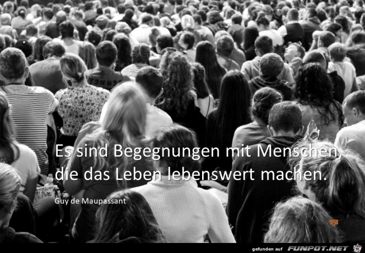 es sind Begegnungen es sind Begegnungen