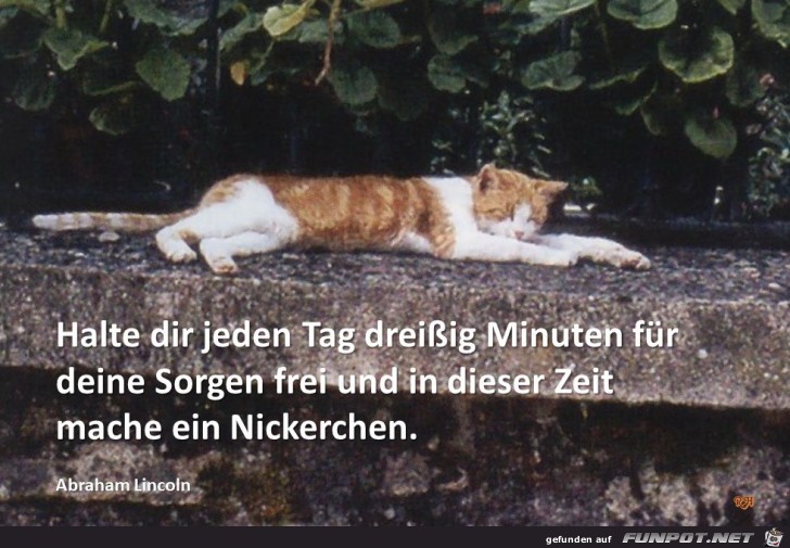 Halte dir jeden Tag Halte dir jeden Tag