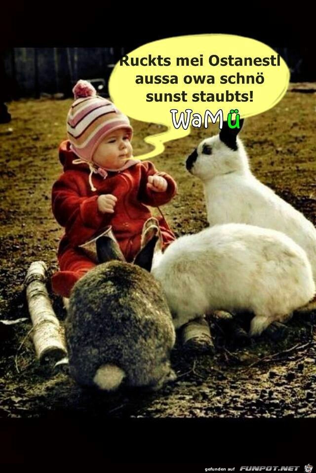 osternest osternest