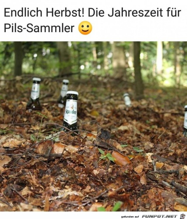 pils sammler