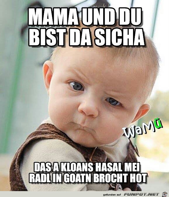 Radl Radl