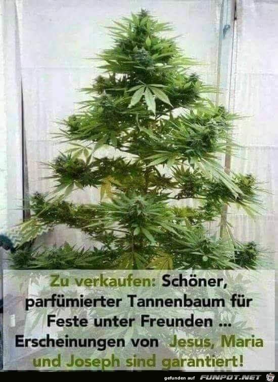 Parfmierter Tannenbaum