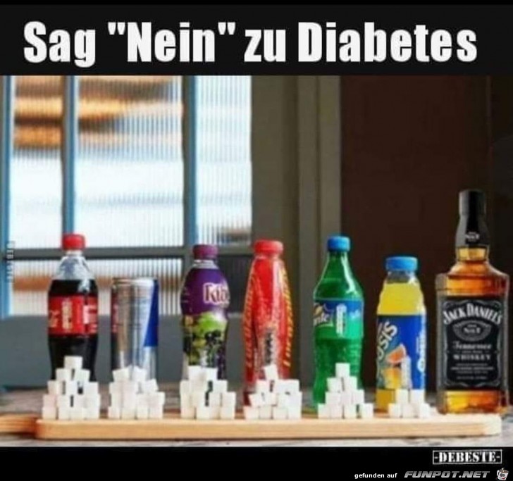 Sag Nein Sag Nein