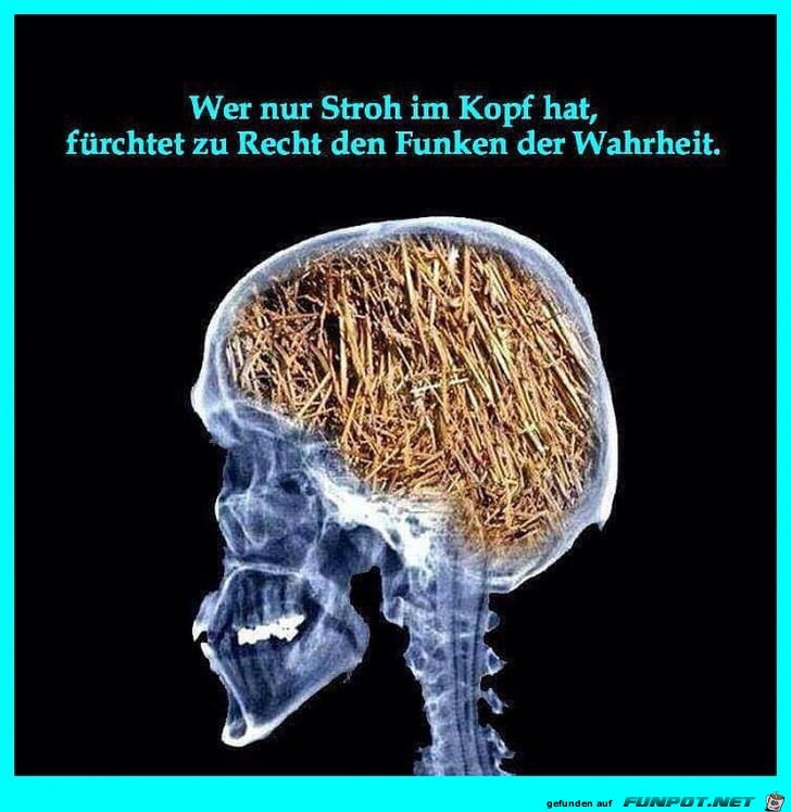 Stroh im Kopf Stroh im Kopf