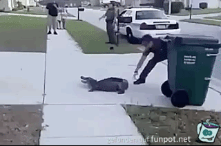 Krokodil Krokodil