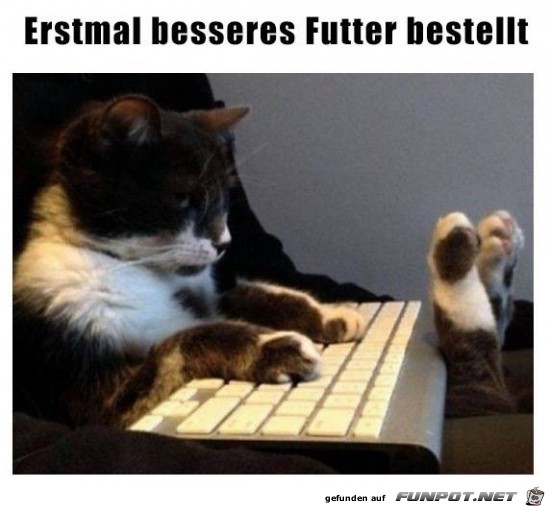 Besseres Futter