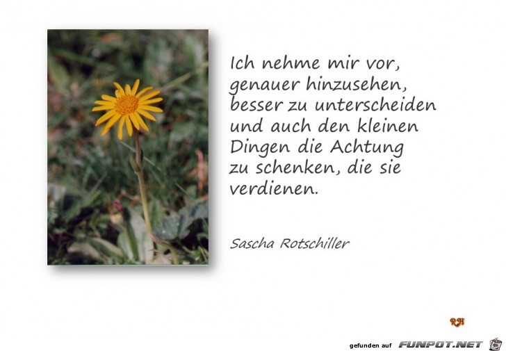 Ich nehme mir vor Ich nehme mir vor