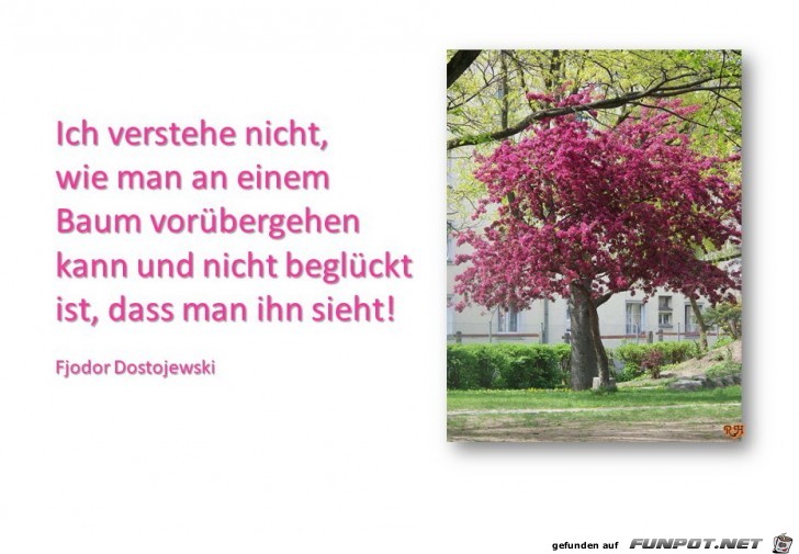 ich verstehe nicht ich verstehe nicht