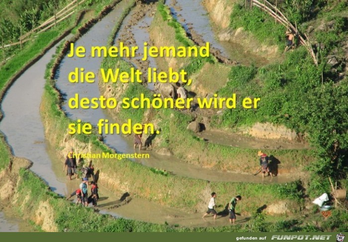 je mehr jemand je mehr jemand