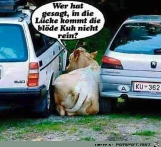 wer hat gesagt