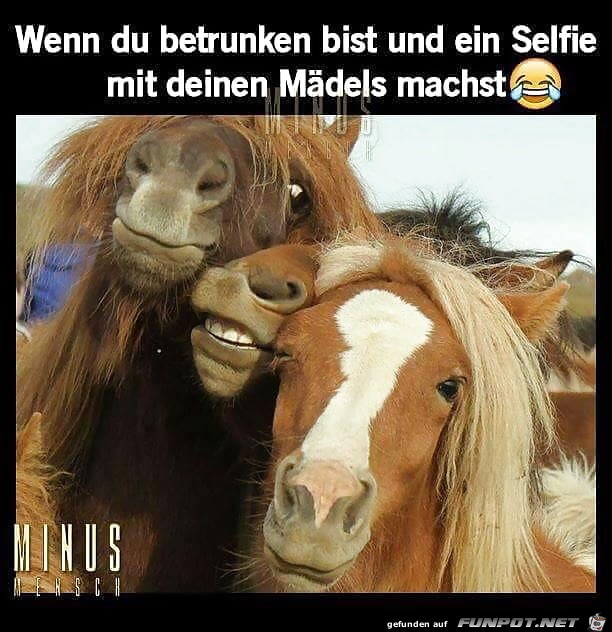 Selfie Selfie