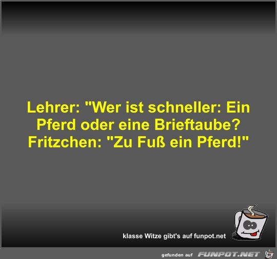 Lehrer: Wer ist schneller: Ein Pferd oder eine Brieftaube?