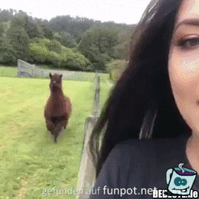 Hier bn ich Hier bn ich