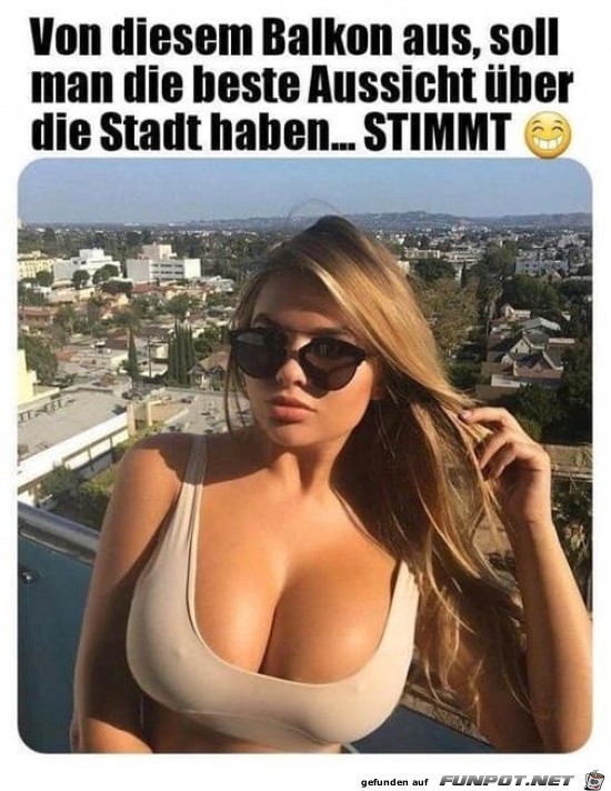 witzige Bilder aus verschiedenen Blogs