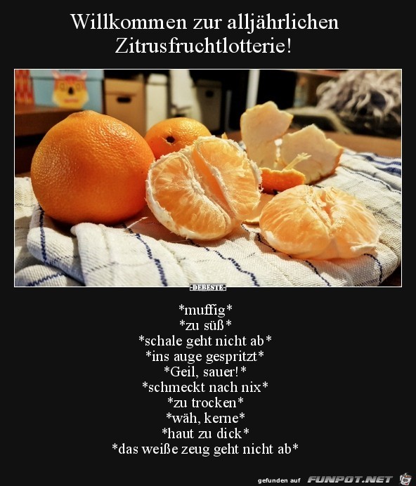 Zitrusfrüchte nerven Zitrusfrüchte nerven