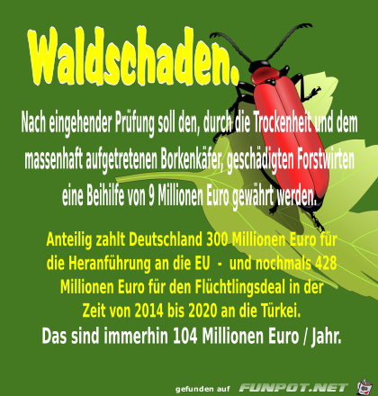 Waldschaden Waldschaden