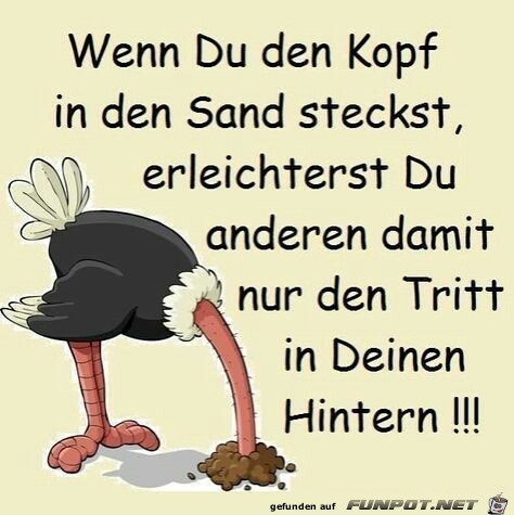 wenn du den Kopf in den Sand steckst