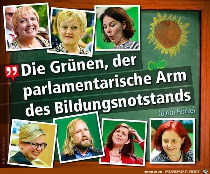 die Gruenen die Gruenen