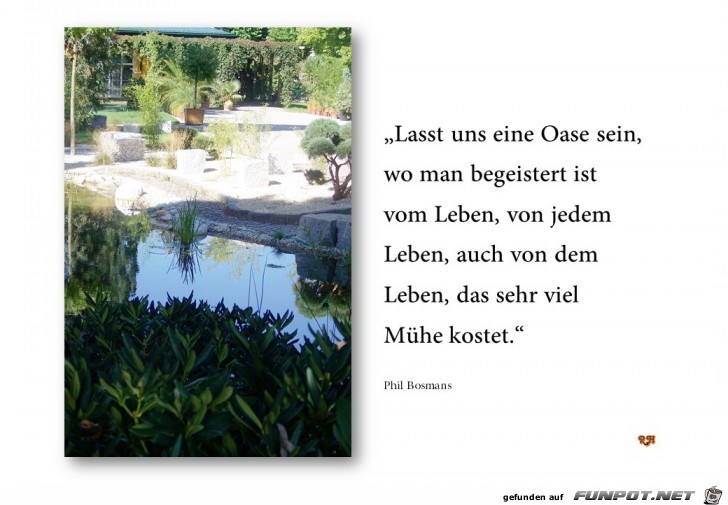 lasst uns eine oase