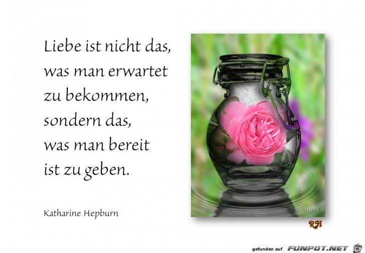 liebe ist nicht das