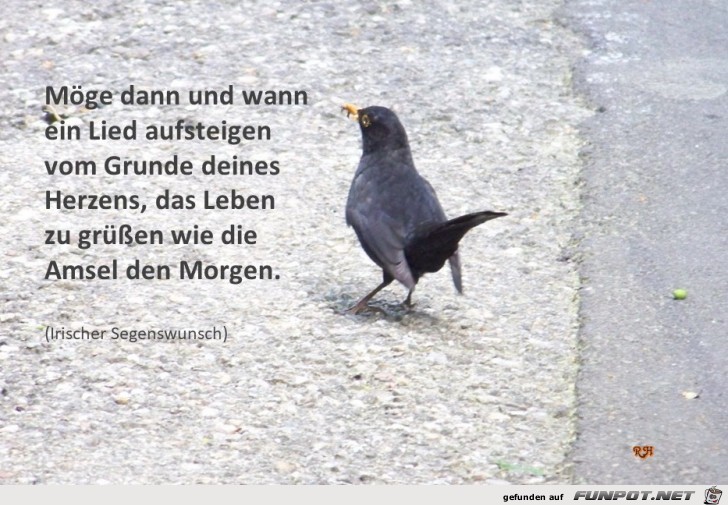 moege dann und wann ein lied aufsteigen moege dann und wann ein lied aufsteigen