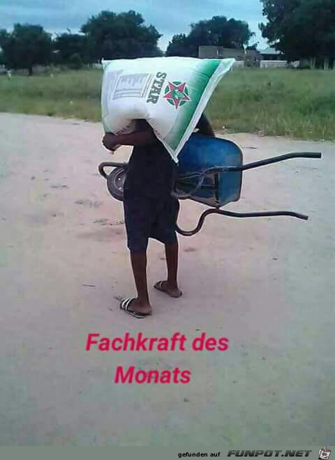 Fachkraft Fachkraft